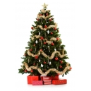 Send Christmas Tree To Metro Manila